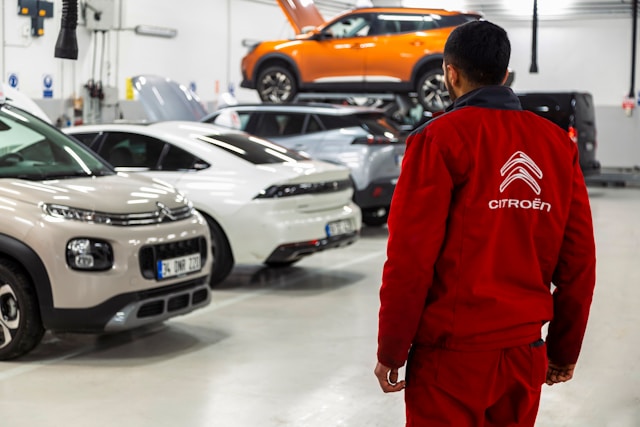 Security Measures That Protect Our Corporate Clients