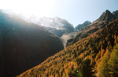 Ultimate Guide to Traveling from Salt Lake City to Deer Valley