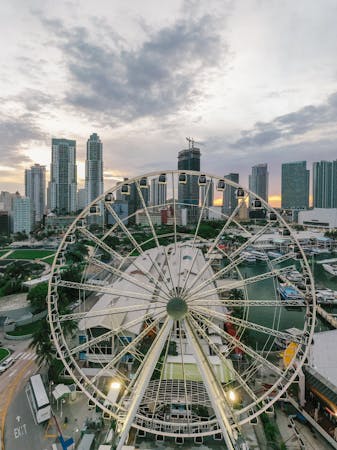 Cómo Navegar por Miami: Guía Completa de Transporte