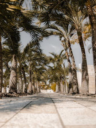 Taxi Fare from Miami Airport to South Beach: Cost, Time, and Options