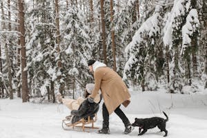 From Airports to Resorts: Perfect Winter Holiday Transfers